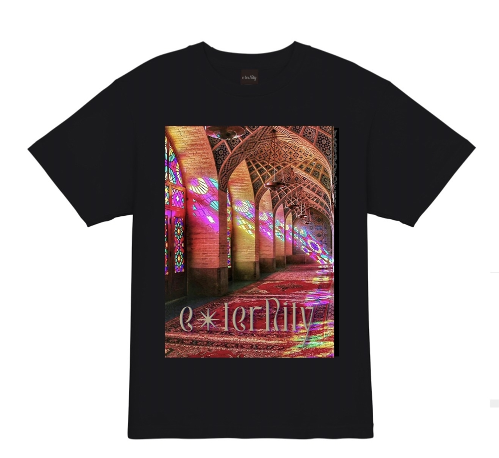 Tシャツ　F